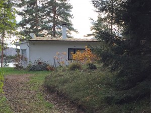 Kuva: Kristiina Mäntynen